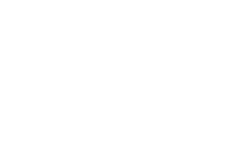 Delaware Eye Institute Logo